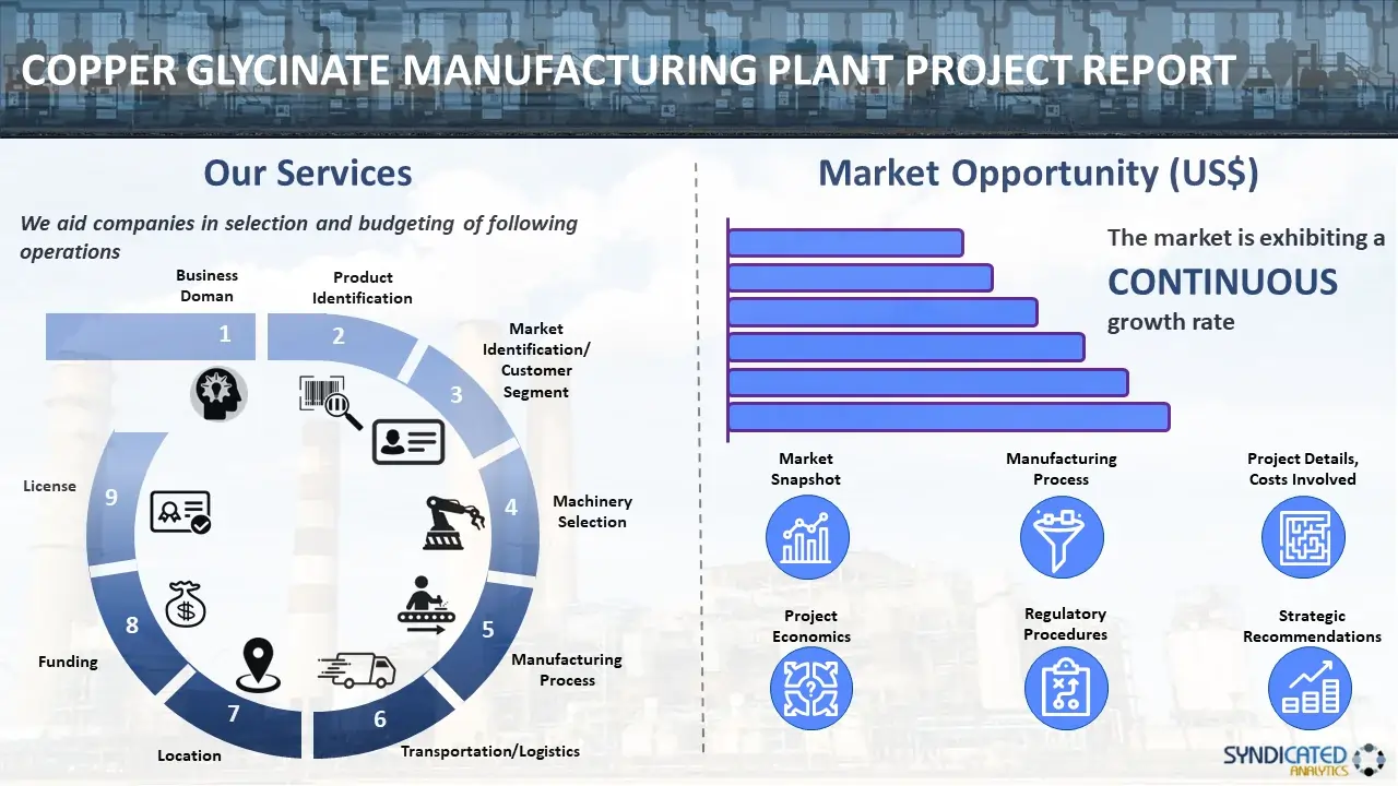 Copper Glycinate Manufacturing Plant Project Report