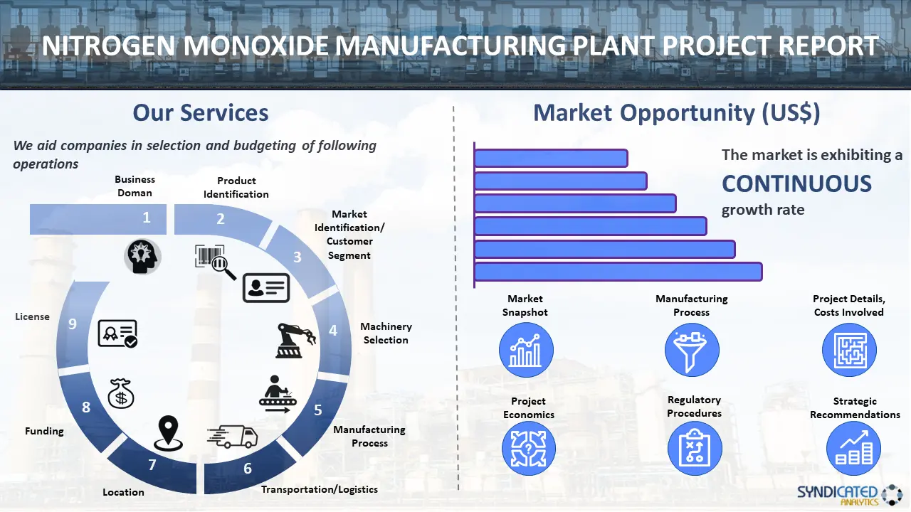 Nitrogen Monoxide Manufacturing Plant Project Report