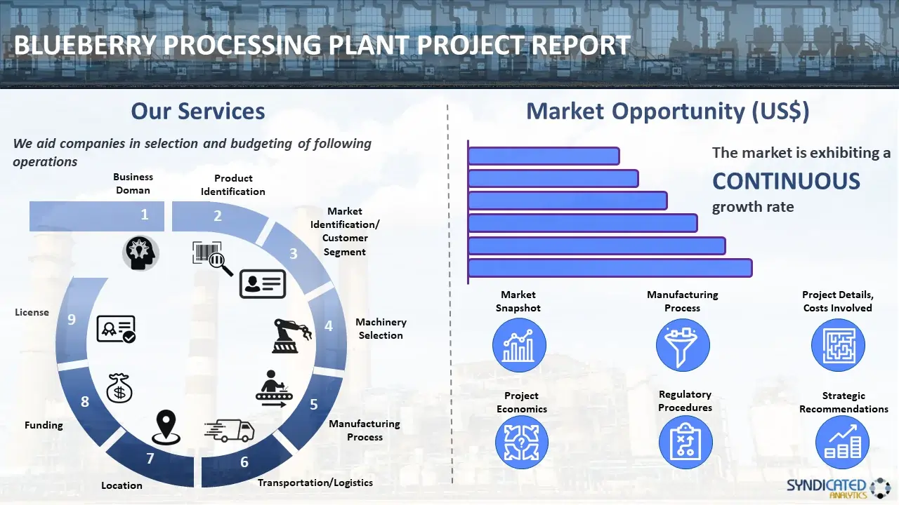 Blueberry Processing Plant Project Report